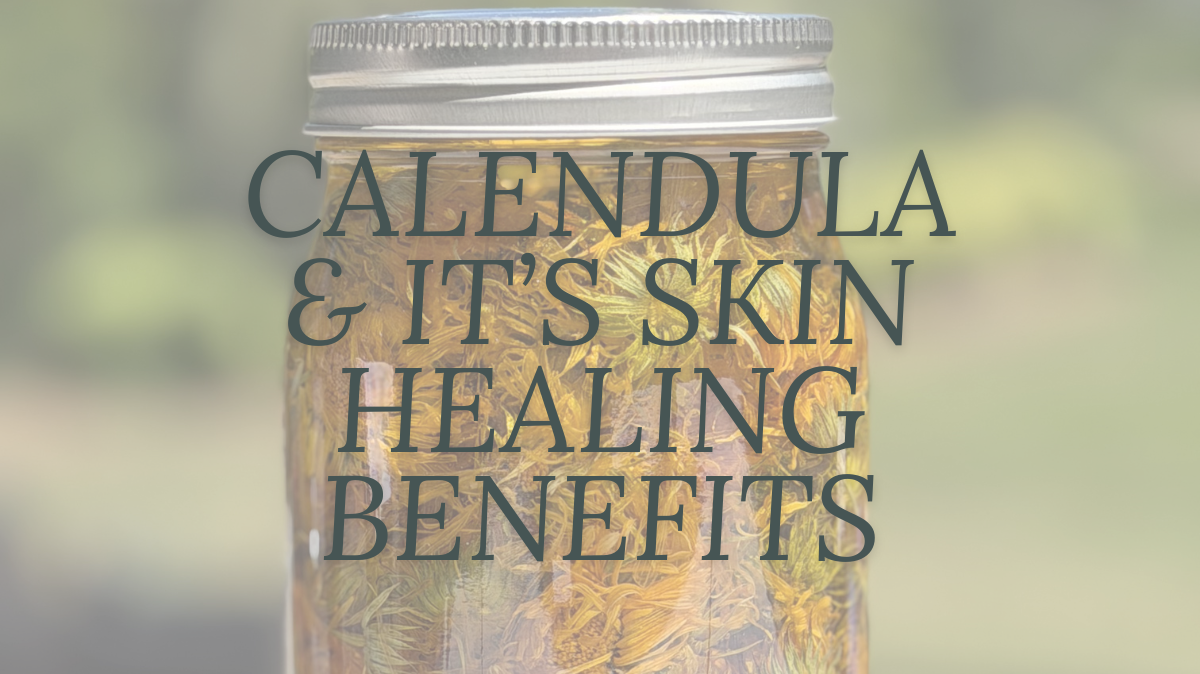 Calendula for Skin Health: Nature’s Golden Healer
