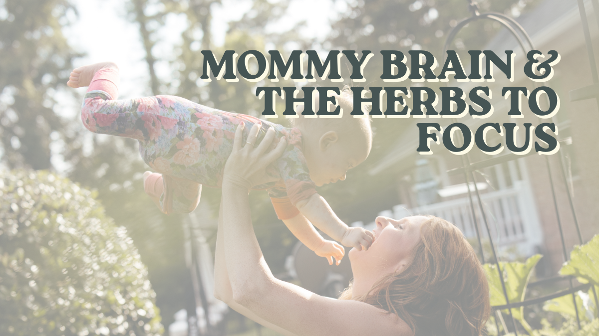 Mommy brain and the herbs to help you focus from an Ayurveda Counselor