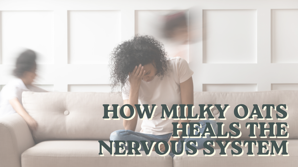 How Milky Oats Heals the Nervous System (And Why It Works When Other Herbs Don't)