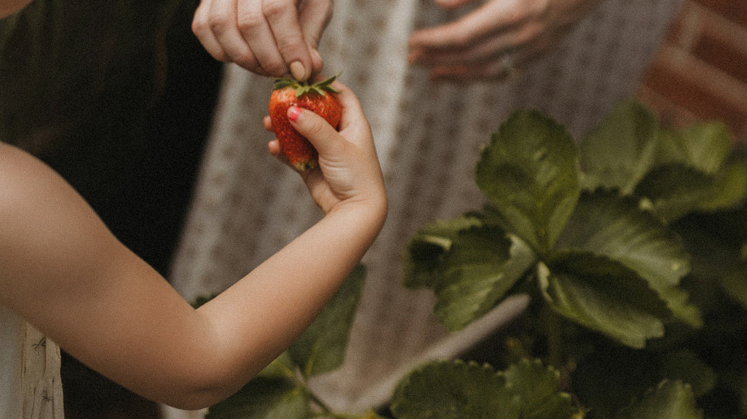 Spring Guide: Ending of Kapha Season