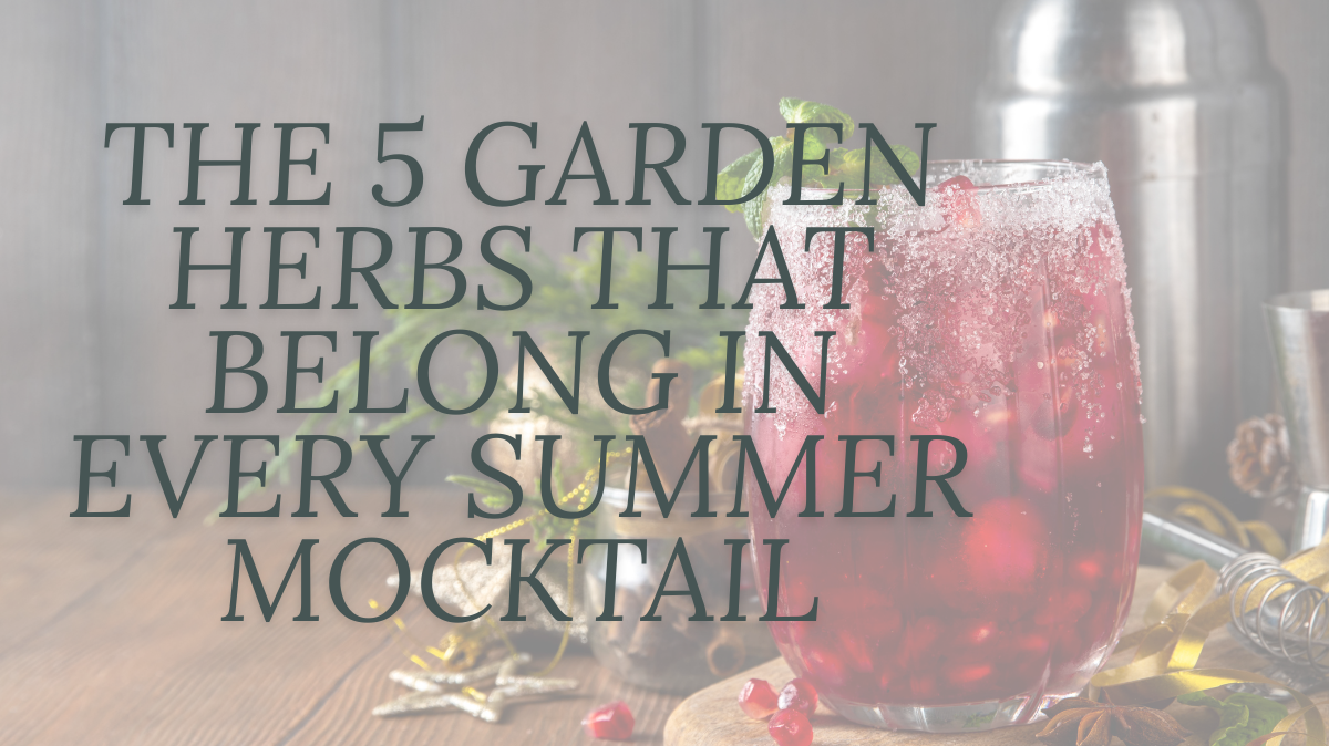 The 5 Garden Herbs That Belong in Every Summer Mocktail