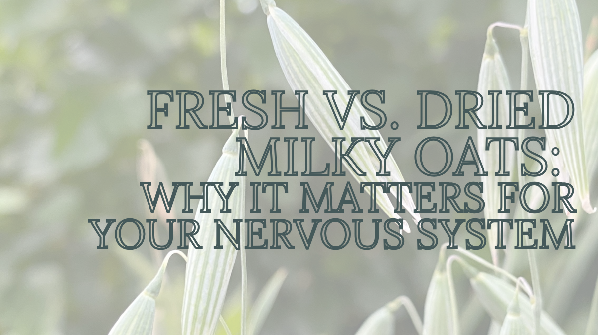 Fresh vs. Dried Milky Oats: Why It Matters For Your Nervous System