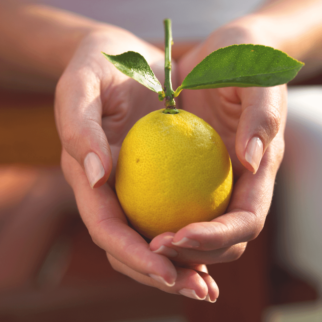 Ayurveda Coach Ayurveda Consultation