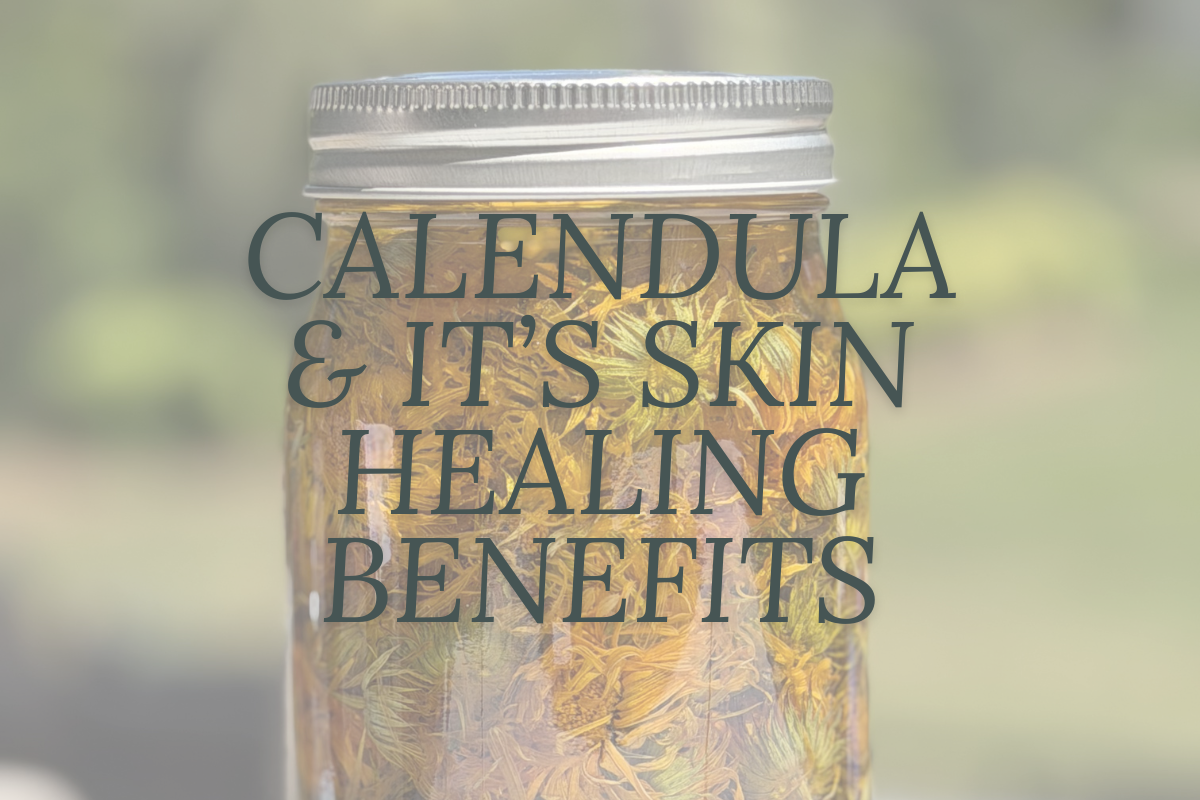 Calendula for Skin Health: Nature’s Golden Healer