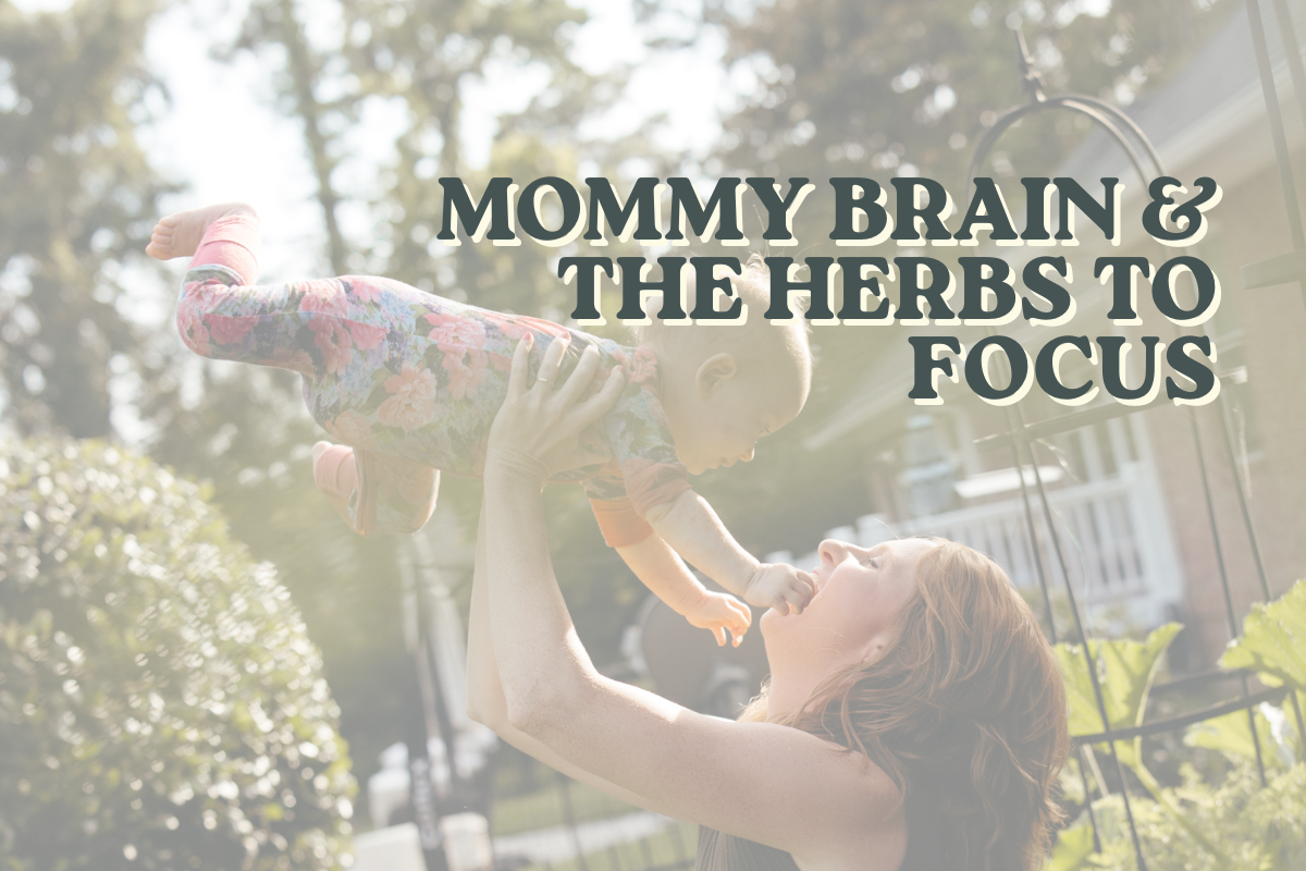 Mommy brain and the herbs to help you focus from an Ayurveda Counselor