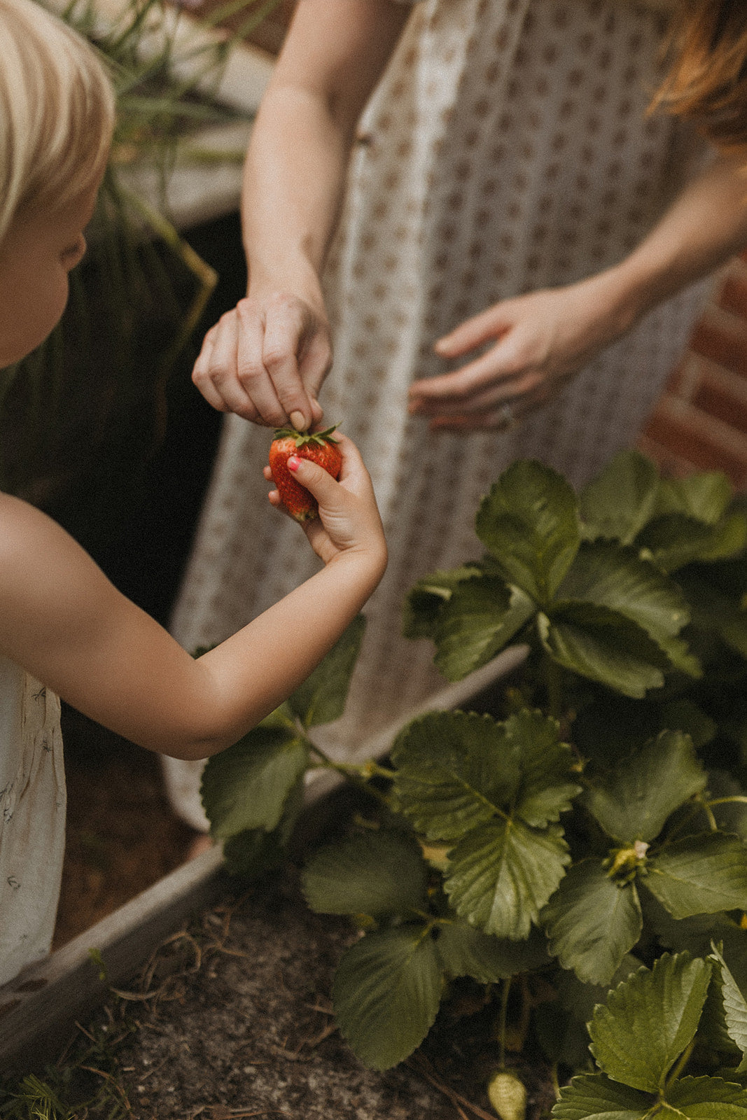 Spring Guide: Ending of Kapha Season