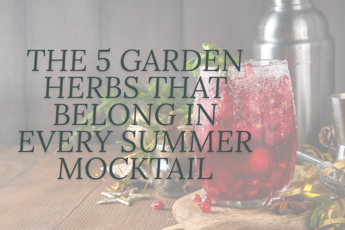 The 5 Garden Herbs That Belong in Every Summer Mocktail