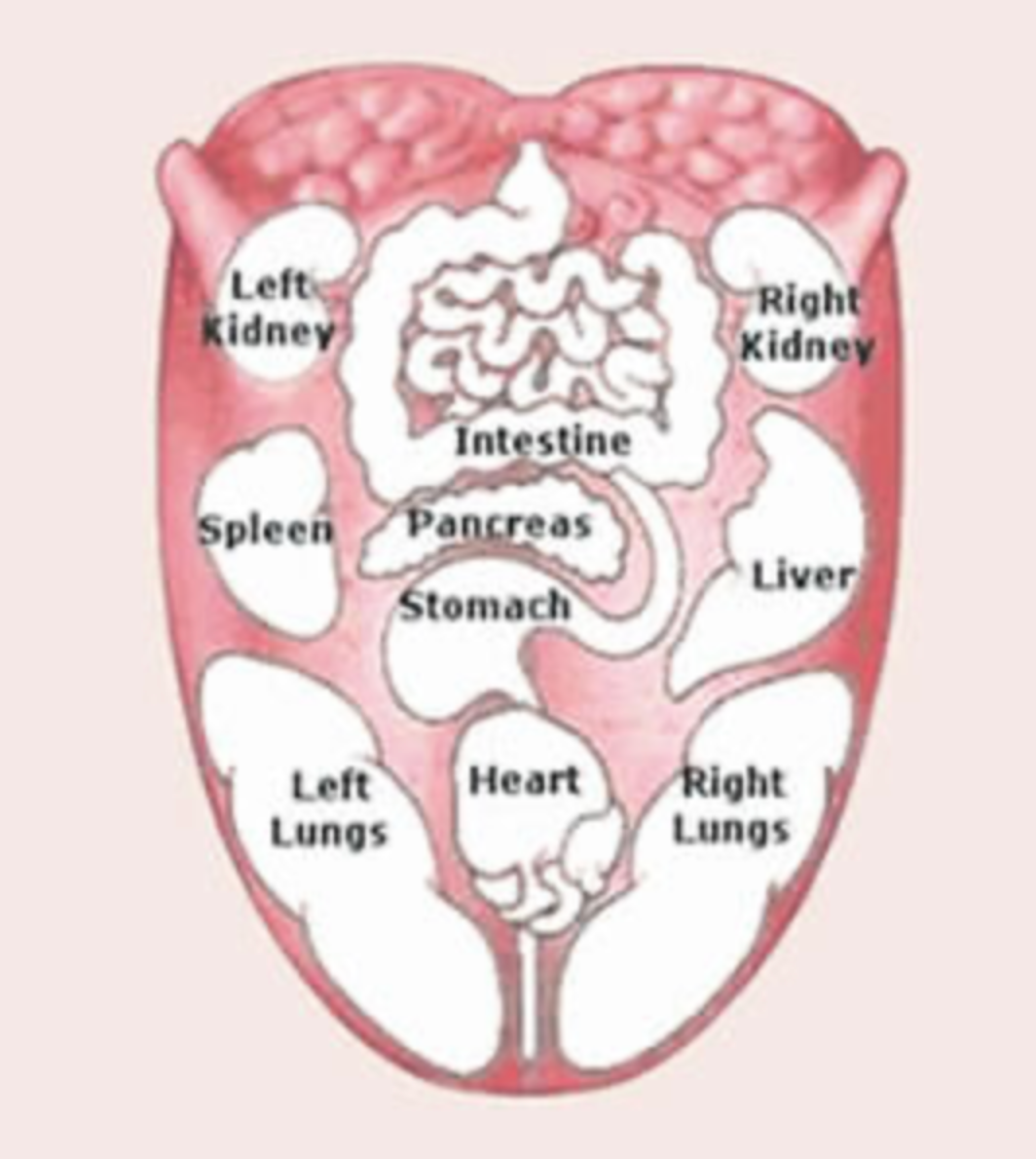 Ayurveda and tongue scraping