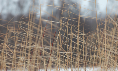 How to balance Vata Dosha