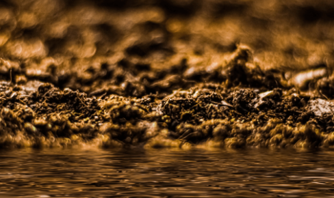 Balancing Kapha Dosha