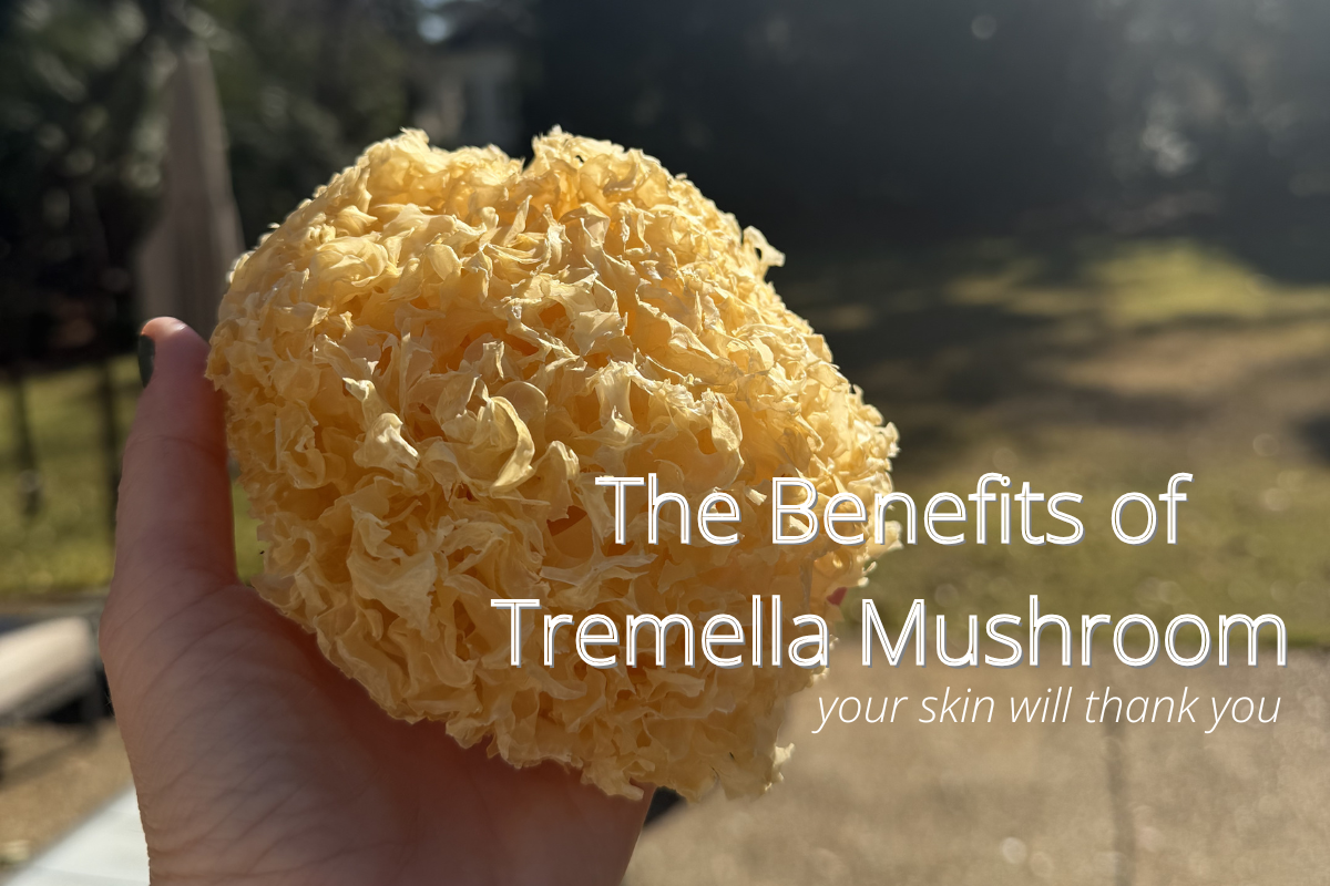 Tremella Mushroom: A Hydrating Beauty Mushroom