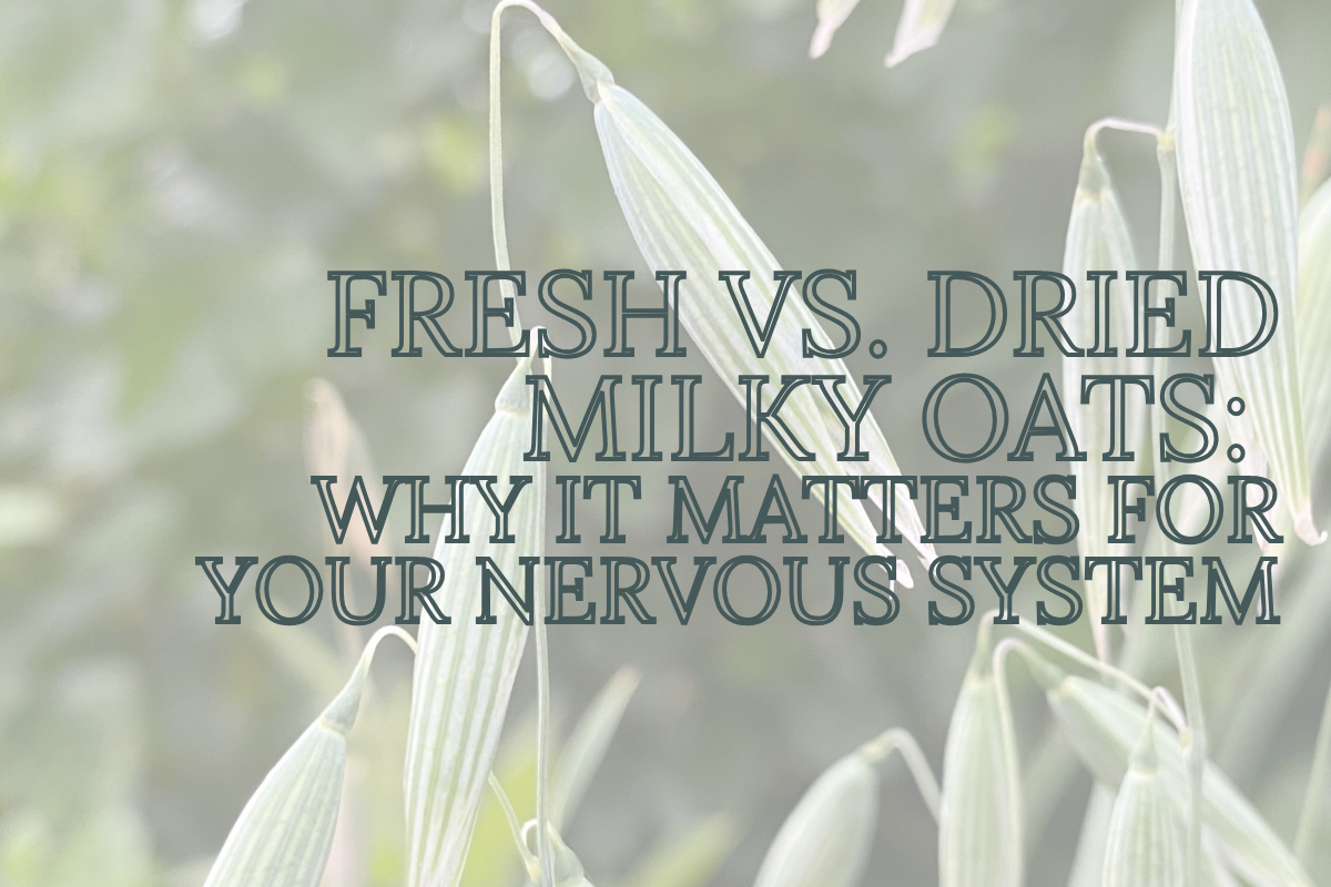 Fresh vs. Dried Milky Oats: Why It Matters For Your Nervous System